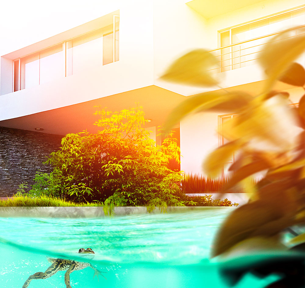 Pond Technology